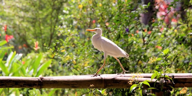 IMG_1869
