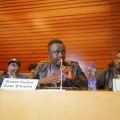 IMG_0153 - Copy