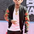 Chris Brown on the red carpet