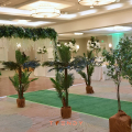 ZZM_6772
