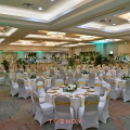 ZZM_6789