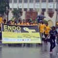 endow (20)