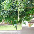 DSC00508