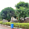 DSC00512