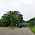 DSC00603
