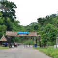 DSC00605