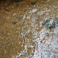 DSC00632