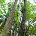 DSC00636