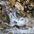 DSC00665