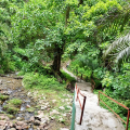 DSC00711