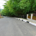 DSC00745