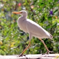 IMG_1869-001