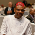 ADE_2169