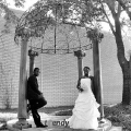 toluww11-281